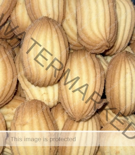 MG Shell Vanilla Cookie / LB